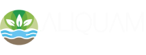 Aliquam